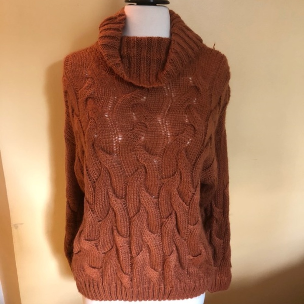 Rust cable knit turtleneck